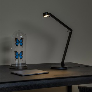 Flexo LED articulée Ogden 3-Dim (7W)