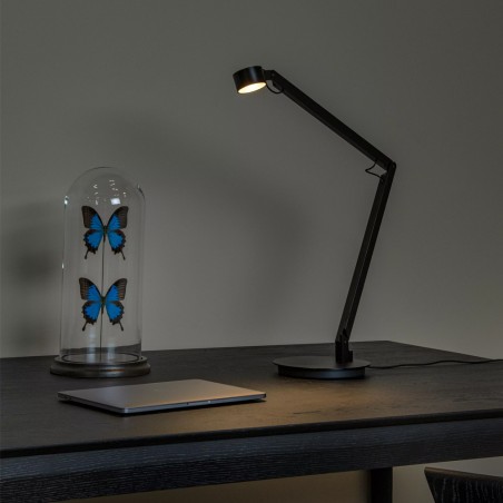 Flexo LED articulée Ogden 3-Dim (7W)