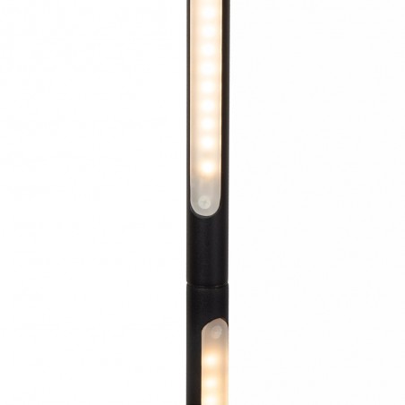 Lampadaire LED Finan 3-Dim (32W)