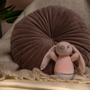Lampe LED Dolly Rabbit pour enfants avec musique (3W)