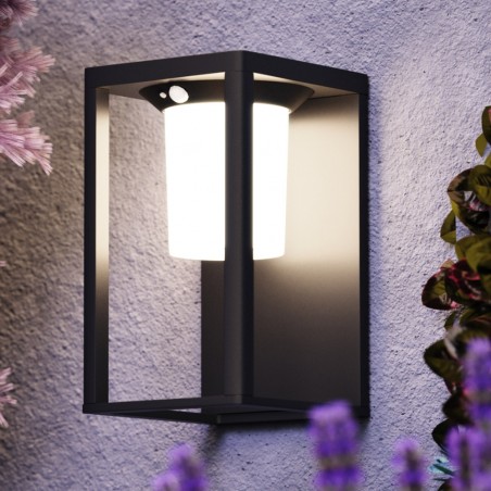 Applique d'extérieur LED Shatter (2W)