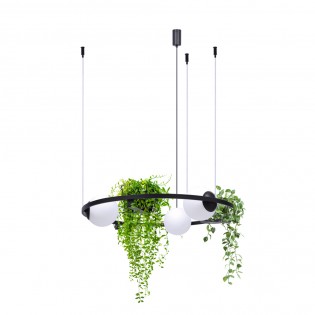 Lampe a suspensión Plant (3 Lumieres)