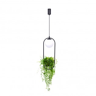 Lampe a suspensión Plant