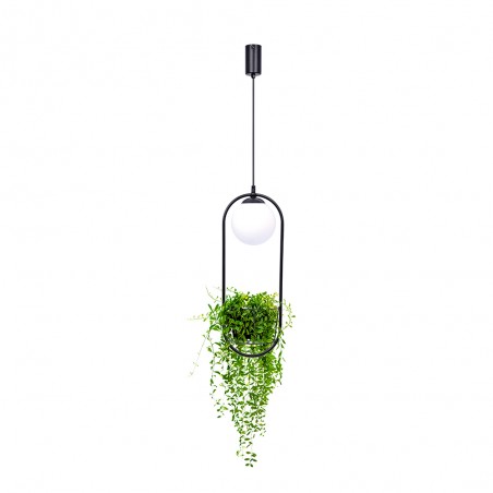 Lampe a suspensión Plant