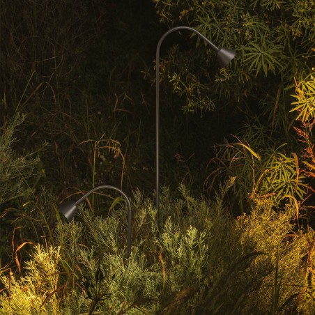 Balise avec pique LED Lily 30 24V. (3W)