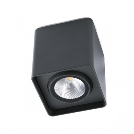 Plafón exterior LED TAMI (12W)