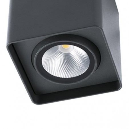 Plafón exterior LED TAMI (12W)