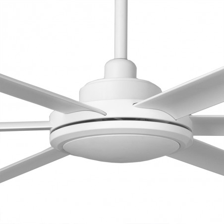 Ventilateur de plafond Rotterdam 20