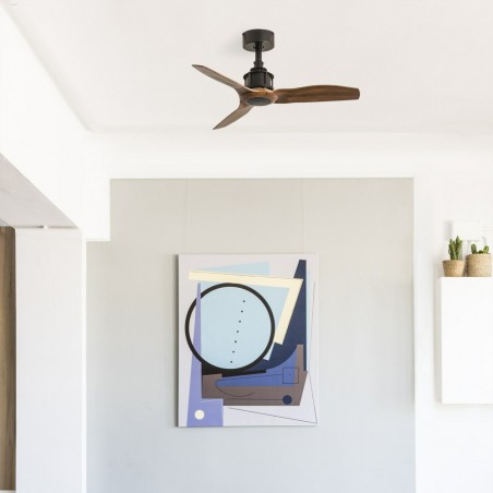 Ventilateur Mini Just Fan