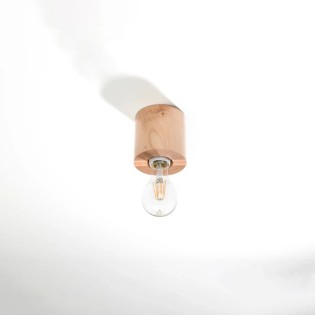 Spot de surface Lion, bois...