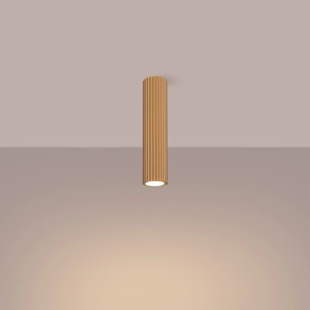 Spot en saillie Moto doré 30