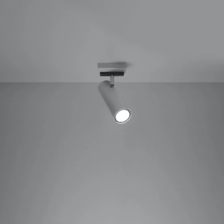 Spot Zani, blanc, 1 lumière