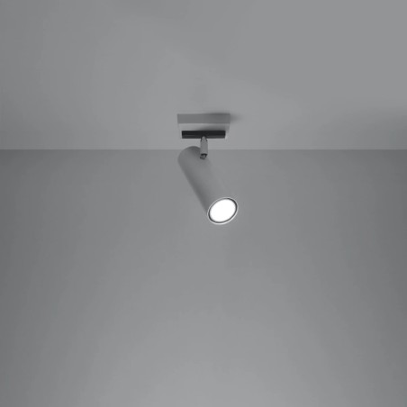 Spot Zani, blanc, 1 lumière