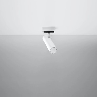 Spot Zani, blanc, 1 lumière