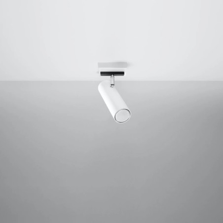 Spot Zani, blanc, 1 lumière