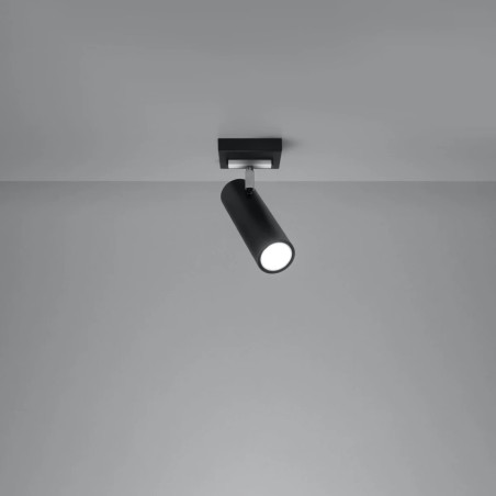 Spot Zani, noir, 1 lumière