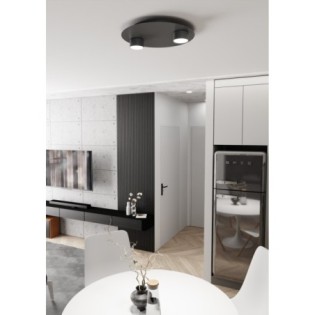 Lampe de plafond Qeri noire (2 lumières)