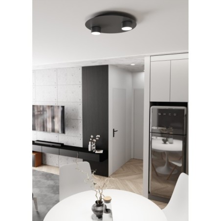 Lampe de plafond Qeri noire (2 lumières)