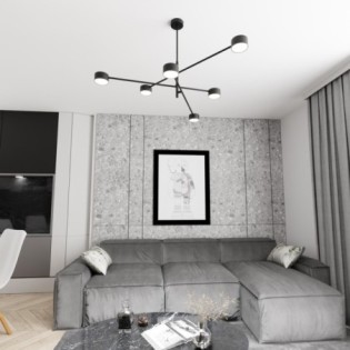 Lampe de plafond Feru noire (6 lumières)