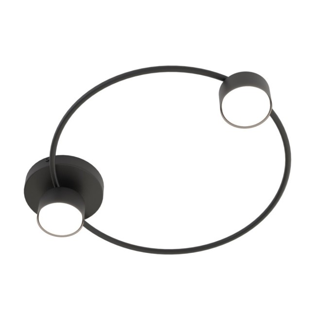 Lampe de plafond Paon noir (2 lumières)