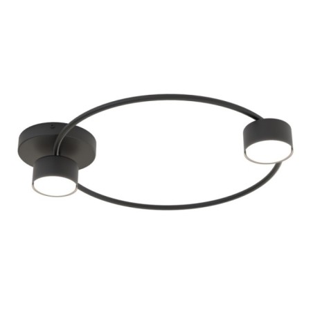 Lampe de plafond Paon noir (2 lumières)