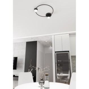Lampe de plafond Paon noir (2 lumières)