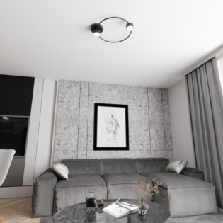 Lampe de plafond Paon noir (2 lumières)