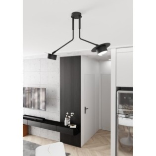 Lampe de plafond Tevra noire (2 lumières)