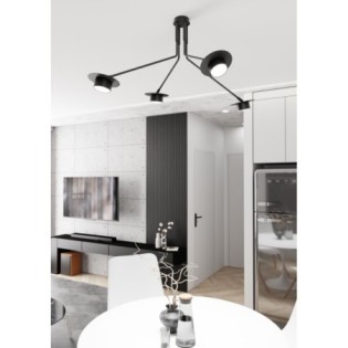 Lampe de plafond Tevra noire (4 lumières)