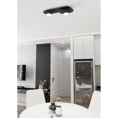 Lampe de plafond Romax noire (2 lumières)