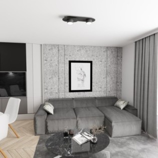 Lampe de plafond Romax noire (2 lumières)