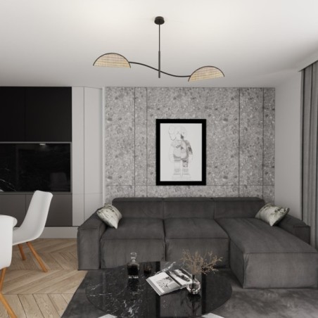 Lampe de plafond Norgi noire (2 lumières)