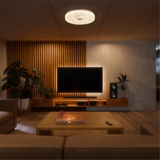 Plafón de techo LED Frozen...