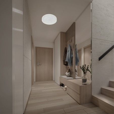 Plafón de techo LED Frozen (30W)