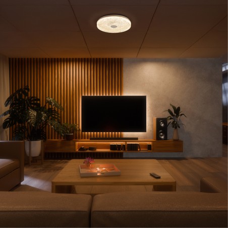 Plafón de techo LED Frozen (30W)