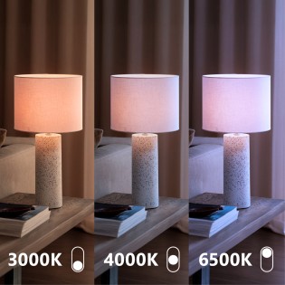 Ampoule LED E27 A60 CCT (8W)