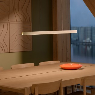 Lampe de plafond LED Ilgas (47W)