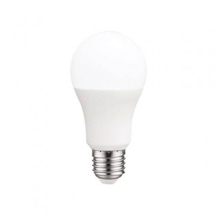 Ampoule LED 10W E27 (4200ºK)