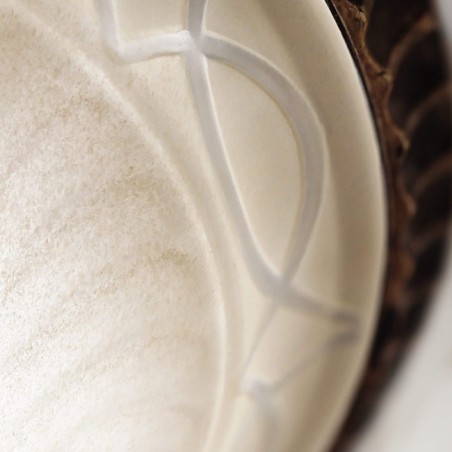 Plafonnier de salon (2 lumières)