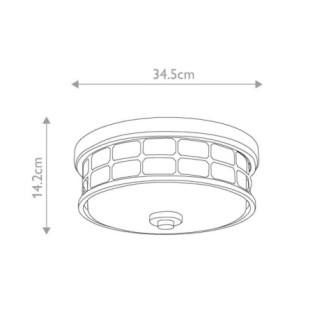 Plafonnier de plafond Guardian (2 lumières)