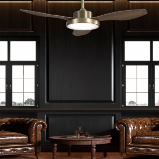 Ventilateur LED Hurricane...