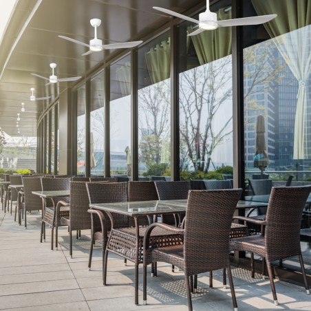 Ventilateur de plafond LED Caurus CCT Dim (20W)