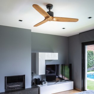 Ventilateur de plafond Etsian