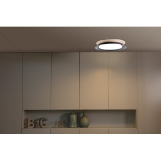 Plafonnier LED Tender (24W)