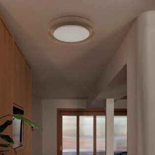 Plafonnier LED Tender II (24W)