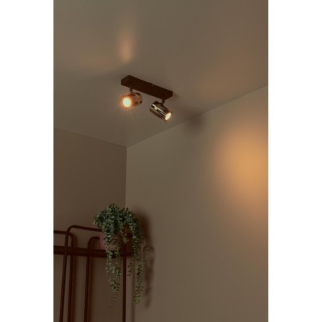 Plafonnier Upton (2 lumières)
