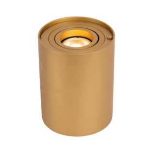 Lampe á poser LED Tube (5W)