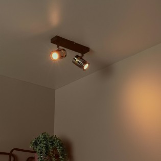 Plafonnier Upton (2 lumières)