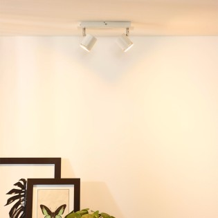 Plafonnier Rilou (2 lumières)