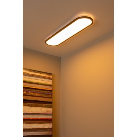 Plafonnier LED Elly (36W)
